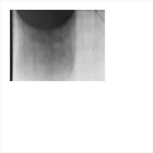 r-8664575-1466529393-5608-jpeg